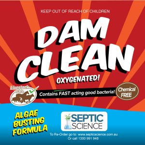 Dam Clean