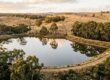 A tranquil rural pond encircled by trees and golden grass fields, with a dirt road surrounding the water.