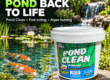 Advertising banner showing a Pond Clean bacteria product beside a koi pond with a waterfall, promoting bringing your pond back to life and its benefits.